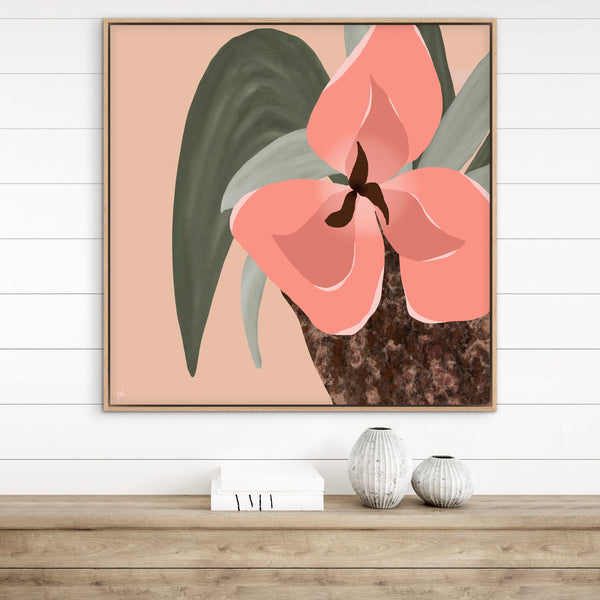Summer Blooming