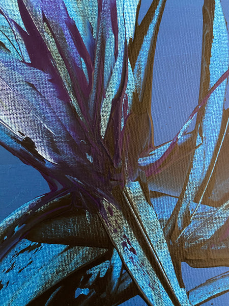 Bellissima Sapphire