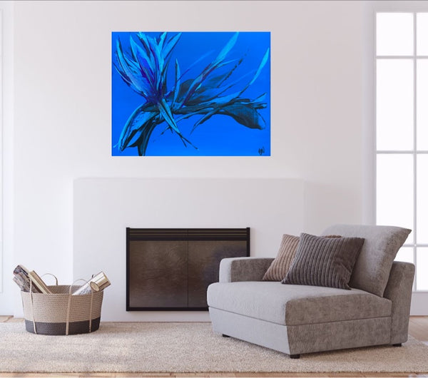 Bellissima Sapphire
