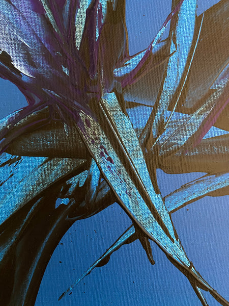 Bellissima Sapphire