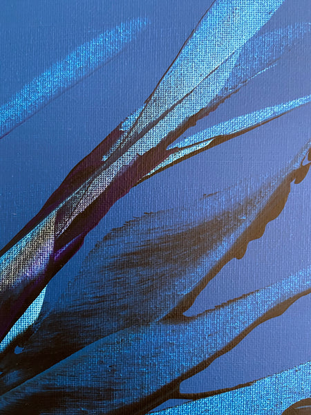 Bellissima Sapphire