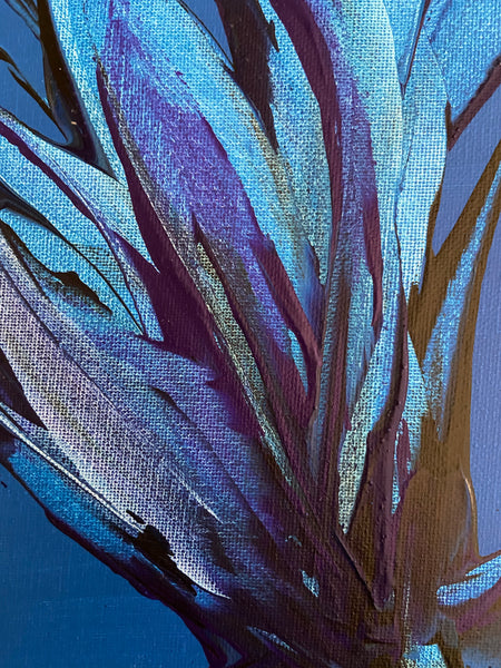 Bellissima Sapphire