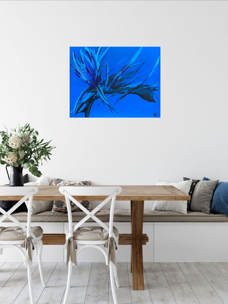 Bellissima Sapphire
